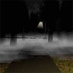 Night Walk
